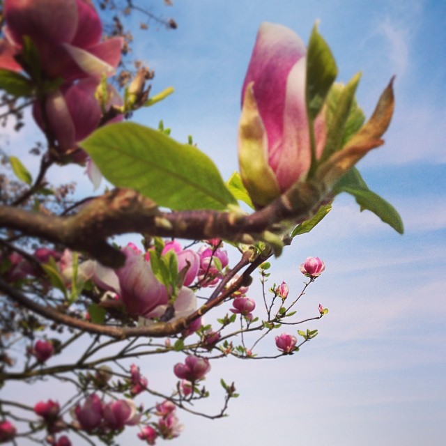 5235fe0048124c36ee6a7ce5bf2f76d8