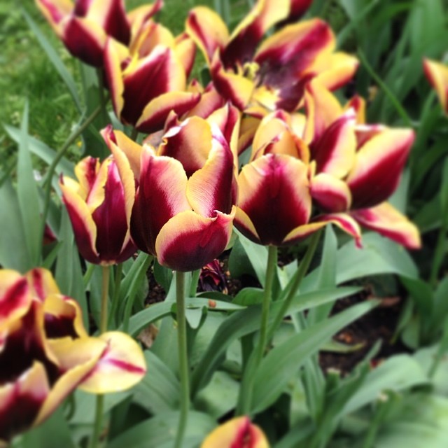 fa45307a09764efa131ded314ce1cd6a