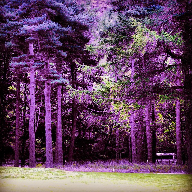 fad38de455354bf4ce90f1ba68dc1c7b