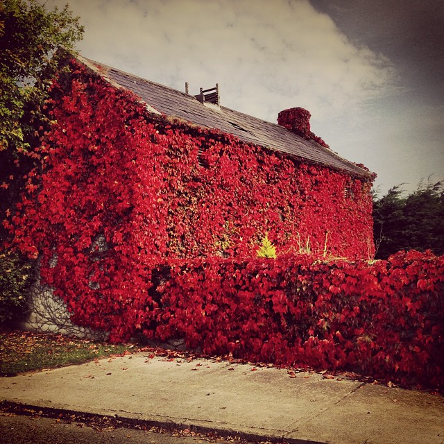 fb064d74d11cb88c44eac65a17ee8e9b