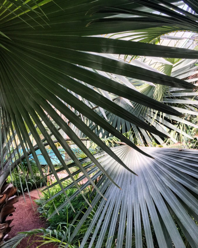 3c6bbc68-54c6-4233-b2b4-18d1d63ca0e9