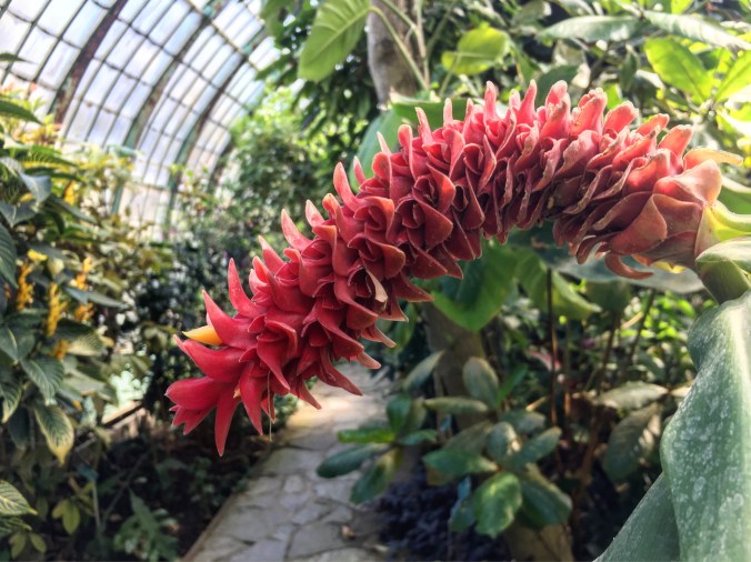 b83cec65-9bed-4092-bf6d-2a1f5e857c0e