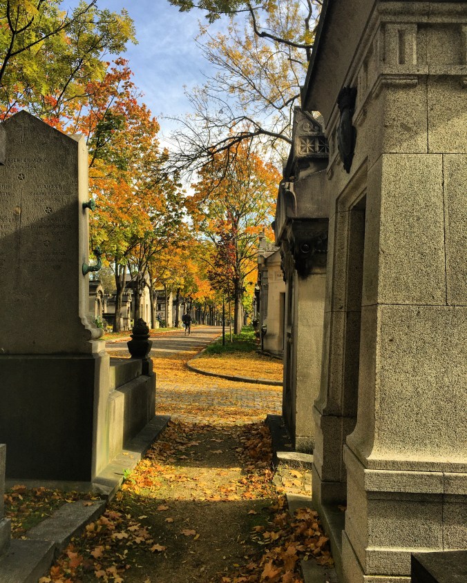 282941F0-56AB-4328-82B5-1EE3B997C063