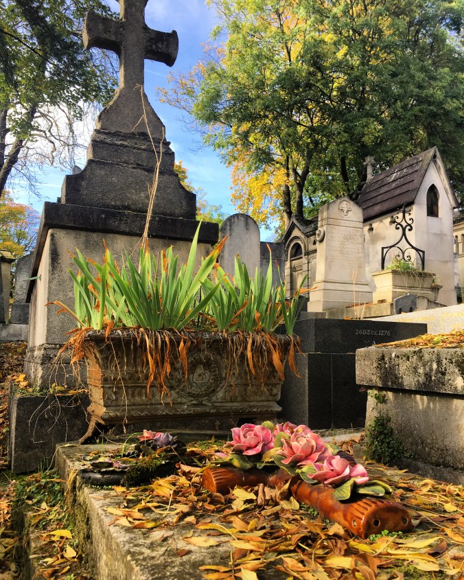 2D70FF62-8A7F-4F8B-910B-84DE11086A39