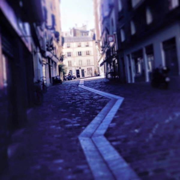 10153130311647864 copy