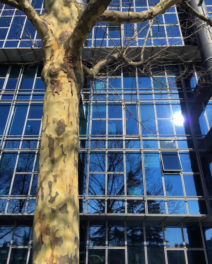 5bb604bbc6357ed49aea6b1229f553c2