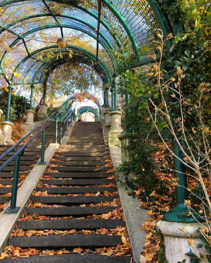 9acb5f5bf3c65c971af68e07dea5eccc