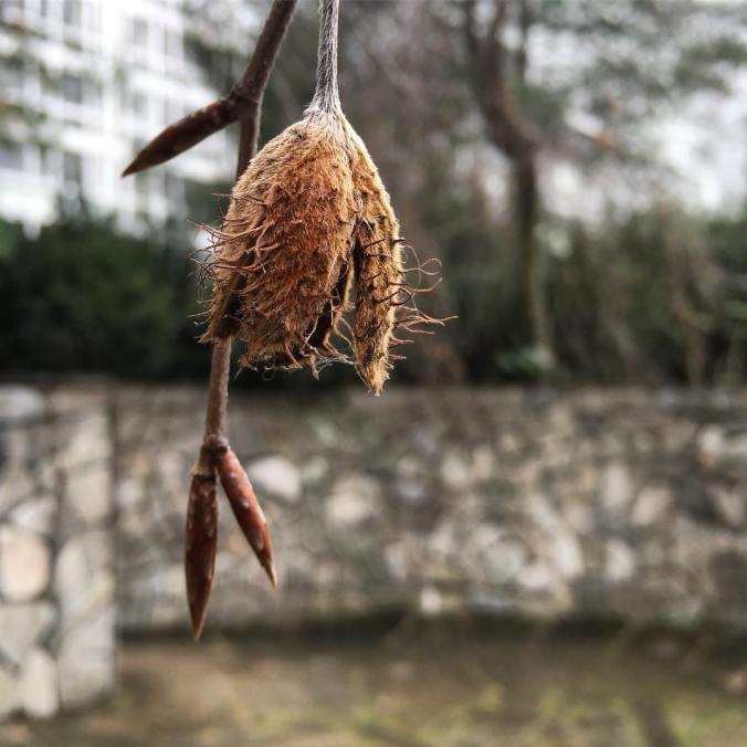 9e7b1432a37e5e62b0765dd5ec64885e