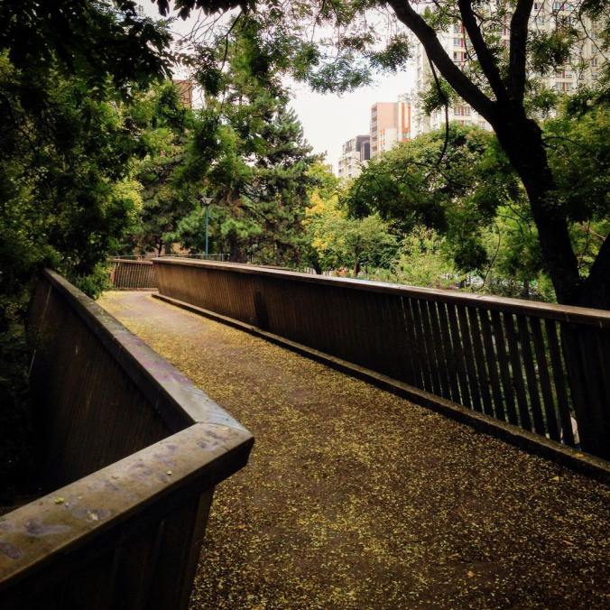 cc4223a7f389b5b2682a7941168cb1a5