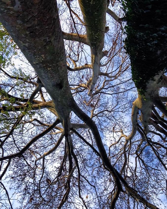 de04029a7f80478552996aa877e222f8