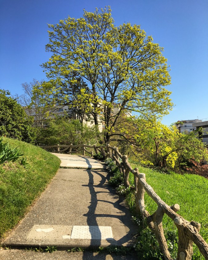 F39C350E-9C55-449B-86CC-2586968071CC