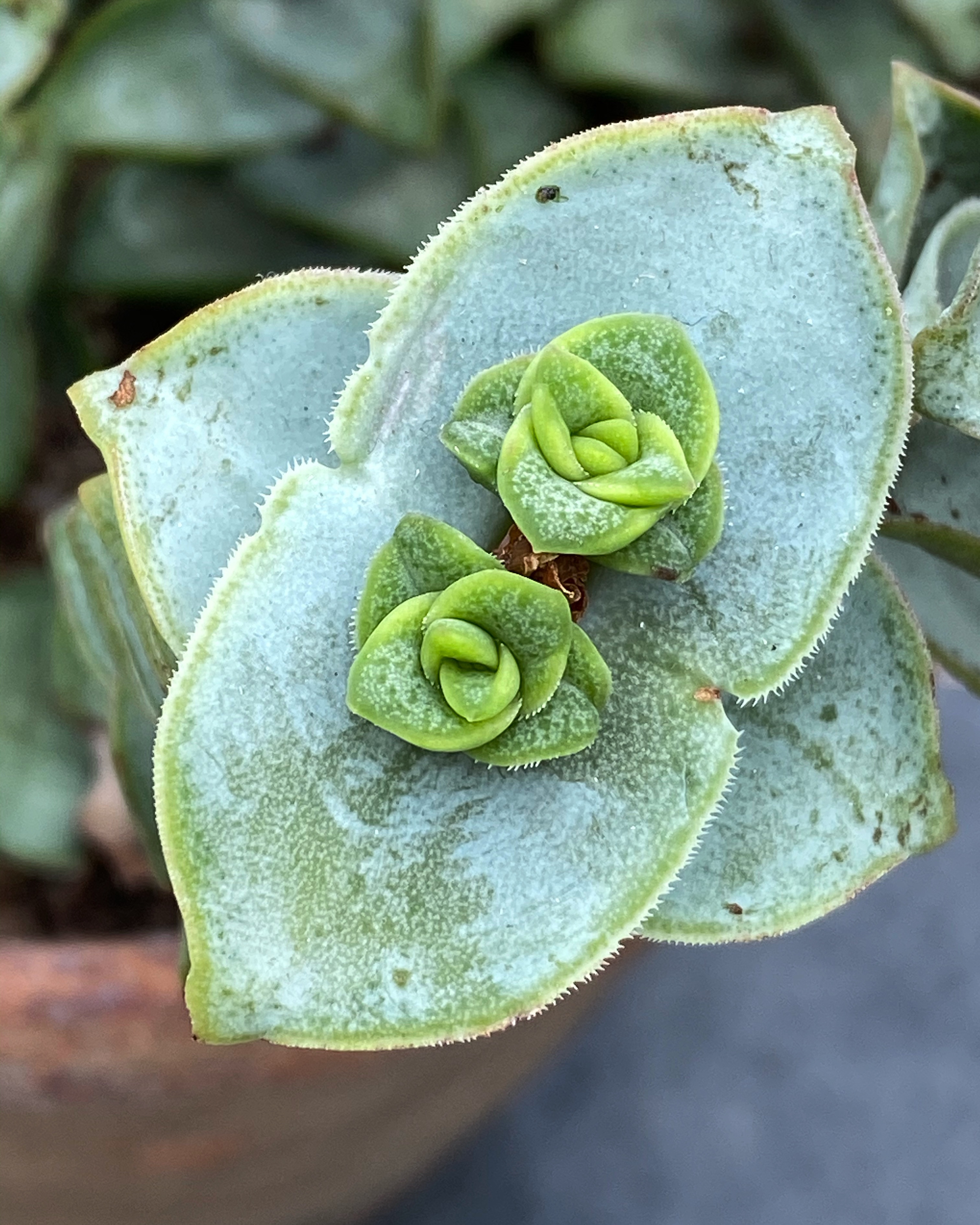 526759f5-2abd-4863-9056-820bb39e5adb