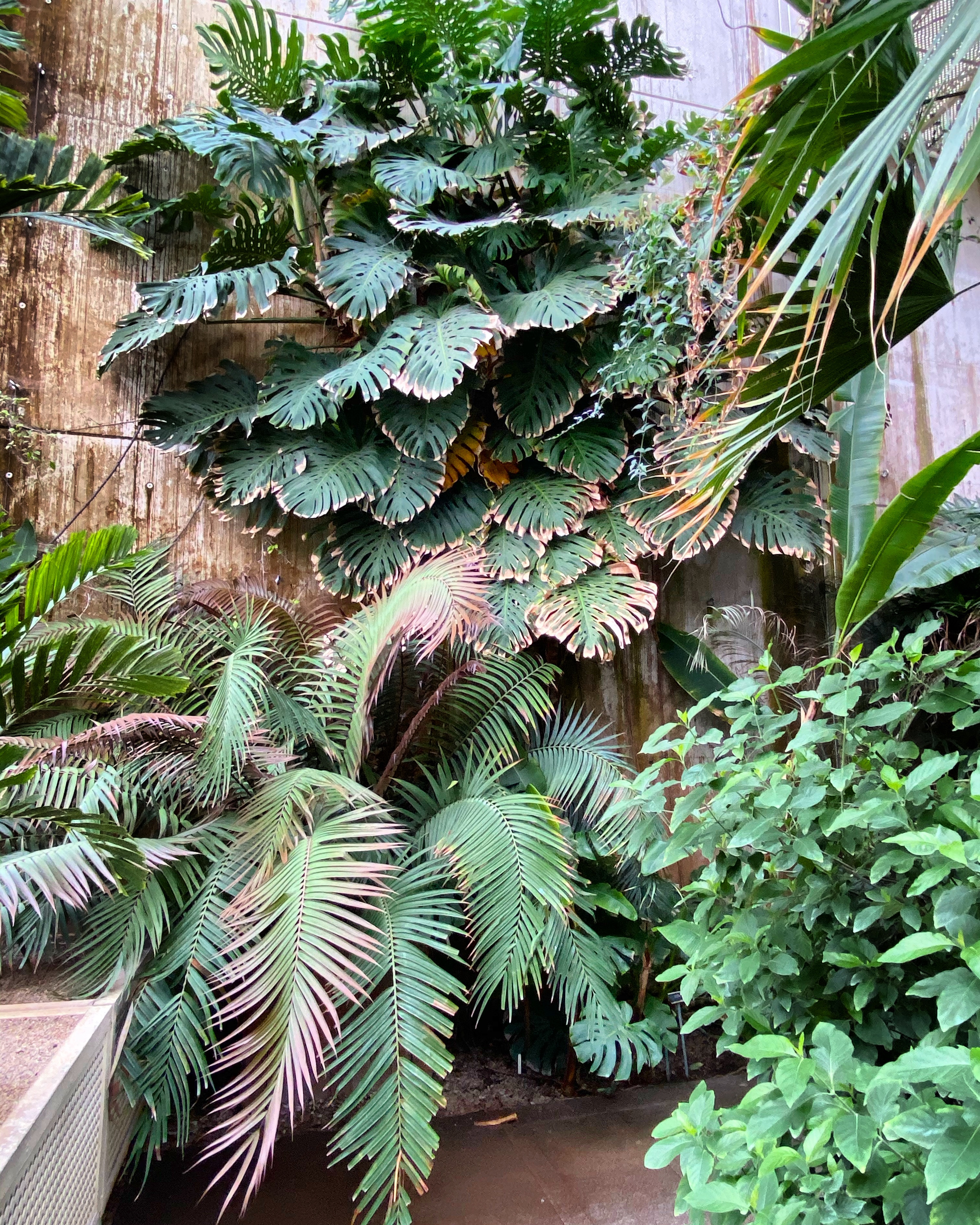 ec09accb-9607-4f68-b7ab-c16f5fc6bd1e