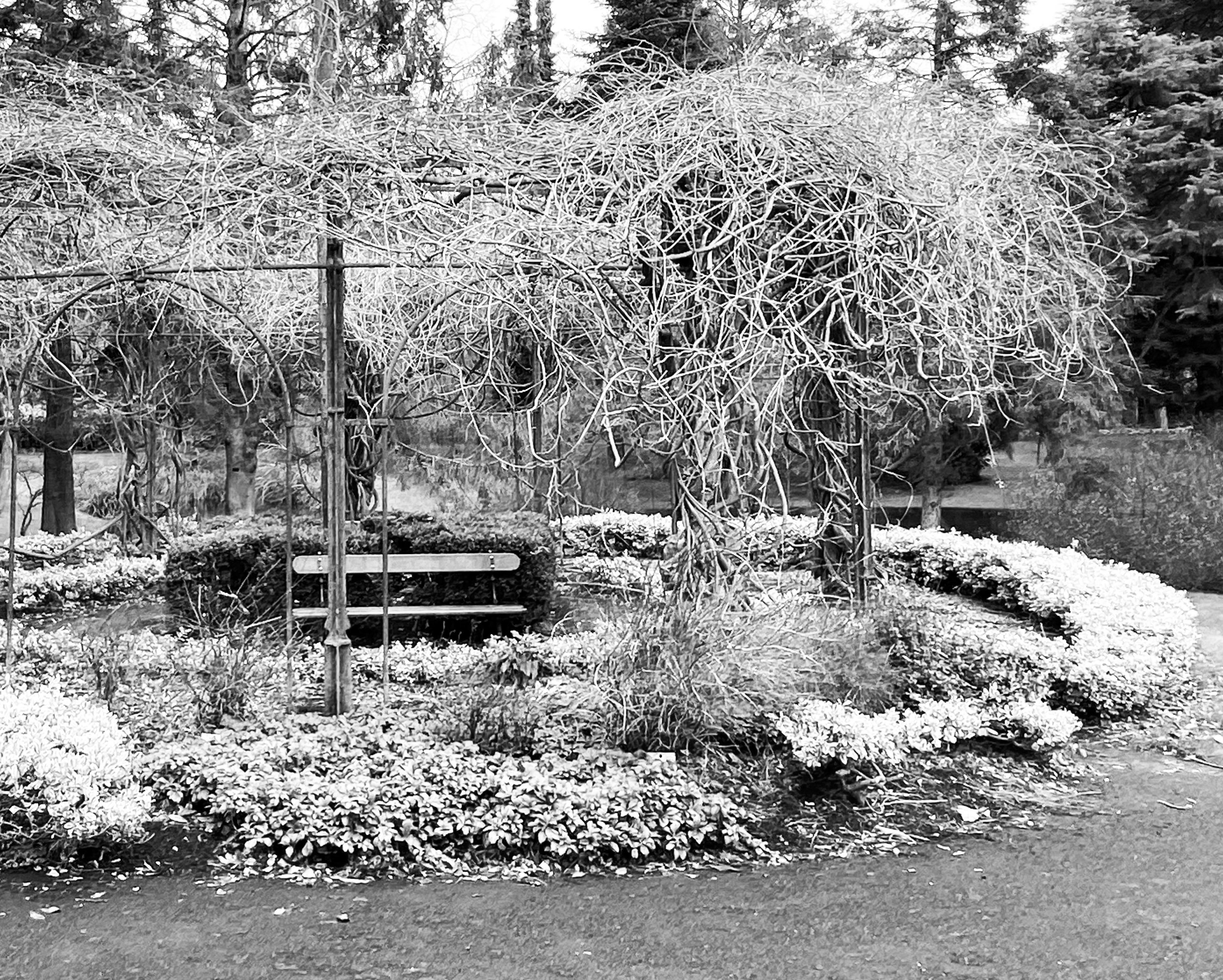 15F0C7B3-F947-47F2-B73F-392F0F69BB45